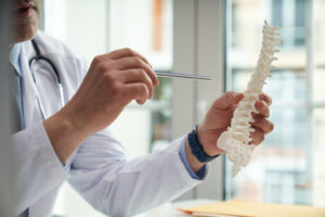 a healthcare worker is holding a model of a human spine pointing to one of its segments with a metal stick